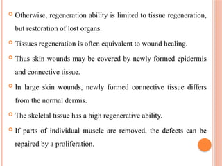  Otherwise, regeneration ability is limited to tissue regeneration,
but restoration of lost organs.
 Tissues regeneration is often equivalent to wound healing.
 Thus skin wounds may be covered by newly formed epidermis
and connective tissue.
 In large skin wounds, newly formed connective tissue differs
from the normal dermis.
 The skeletal tissue has a high regenerative ability.
 If parts of individual muscle are removed, the defects can be
repaired by a proliferation.
 