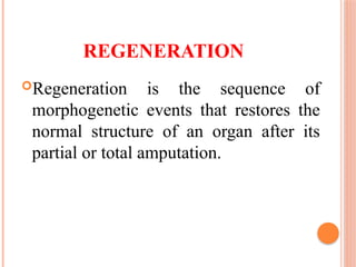 REGENERATION
Regeneration is the sequence of
morphogenetic events that restores the
normal structure of an organ after its
partial or total amputation.
 