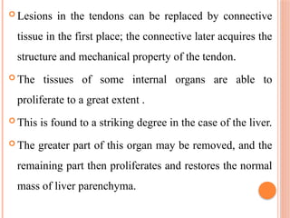  Lesions in the tendons can be replaced by connective
tissue in the first place; the connective later acquires the
structure and mechanical property of the tendon.
 The tissues of some internal organs are able to
proliferate to a great extent .
 This is found to a striking degree in the case of the liver.
 The greater part of this organ may be removed, and the
remaining part then proliferates and restores the normal
mass of liver parenchyma.
 