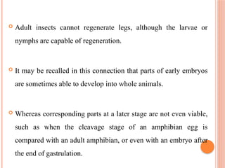  Adult insects cannot regenerate legs, although the larvae or
nymphs are capable of regeneration.
 It may be recalled in this connection that parts of early embryos
are sometimes able to develop into whole animals.
 Whereas corresponding parts at a later stage are not even viable,
such as when the cleavage stage of an amphibian egg is
compared with an adult amphibian, or even with an embryo after
the end of gastrulation.
 