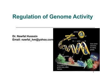 Regulation of Genome Activity
Dr. Nawfal Hussein
Email: nawfal_hm@yahoo.com
1
 