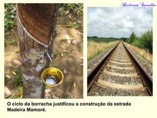 O ciclo da borracha justificou a construção da estrada
Madeira Mamoré.
 