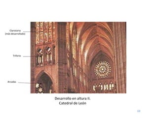 Desarrollo en altura II. Catedral de León Arcadas Triforio Claristorio (más desarrollado) 
