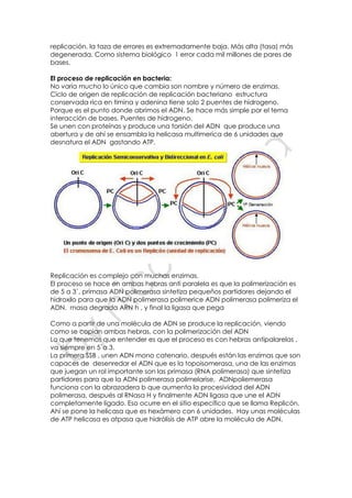 replicación, la taza de errores es extremadamente baja. Más alta (tasa) más
degenerada. Como sistema biológico 1 error cada mil millones de pares de
bases.
El proceso de replicación en bacteria:
No varia mucho lo único que cambia son nombre y número de enzimas.
Ciclo de origen de replicación de replicación bacteriano estructura
conservada rica en timina y adenina tiene solo 2 puentes de hidrogeno.
Porque es el punto donde abrimos el ADN. Se hace más simple por el tema
interacción de bases. Puentes de hidrogeno.
Se unen con proteínas y produce una torsión del ADN que produce una
abertura y de ahí se ensambla la helicasa multimerica de 6 unidades que
desnatura el ADN gastando ATP.
Replicación es complejo con muchas enzimas.
El proceso se hace en ambas hebras anti paralela es que la polimerización es
de 5 a 3`, primasa ADN polimerasa sintetiza pequeños partidores dejando el
hidroxilo para que la ADN polimerasa polimerice ADN polimerasa polimeriza el
ADN. rnasa degrada ARN h , y final la ligasa que pega
Como a partir de una molécula de ADN se produce la replicación, viendo
como se copian ambas hebras, con la polimerización del ADN
Lo que tenemos que entender es que el proceso es con hebras antipalarelas ,
va siempre en 5`a 3.
La primera SSB , unen ADN mono catenario, después están las enzimas que son
capaces de desenredar el ADN que es la topoisomerasa, una de las enzimas
que juegan un rol importante son las primasa (RNA polimerasa) que sintetiza
partidores para que la ADN polimerasa polimelarise, ADNpoliemerasa
funciona con la abrazadera b que aumenta la procesividad del ADN
polimerasa, después al RNasa H y finalmente ADN ligasa que une el ADN
completamente ligado. Eso ocurre en el sitio específico que se llama Replicón.
Ahí se pone la helicasa que es hexámero con 6 unidades. Hay unas moléculas
de ATP helicasa es atpasa que hidrólisis de ATP abre la molécula de ADN.
 
