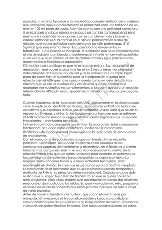 aspectos, la enzima favorece a los nucleótidos complementarios de la cadena
que polimeriza. Bajo esa característica la polimerasa tiene una fidelidad de un
error en 100 mil pares de bases. Además cuenta con una actividad correctora,
si se incorpora una base errona se produce un cambio conformacional en la
enzima y el nucleótido no se aparea con su complementario y la enzima
cambia entonces el ADN cambia en el sitio de polimerización al sitio de
edición, que es una actividad exonucleasa de las ADN polimerasas, 3`-5`
Significa que esas enzimas tienen la capacidad de romper enlaces
fosfodiester, 3`a 5`cuando se incorpora el nucleótido que no se incorpora pasa
al sitio de edición (cambiando su conformación) y se le remueve el nucleótido,
y una vez que se va cambia al sitio de polimerización y sigue polimerizando,
aumentando la fidelidad de replicación.
Otro factor que contribuye es que tenemos que entrar a los mecanismos de
reparación, que ocurre a pesare de tener los 2 mecanismos mencionados
anteriormente: actividad exonucleasa y de la polimerasa. Hay cada cierto
pares de bases hay un nucleótido para la incorporación y queda una
estructura en el ADN que no se copia y queda como un lomo de toro. Hay
enzimas que ve eso, la interrupción y ahí ocurrirá que hay enzimas que
degradan ese nucleótido no complementario a la base y quedara un espacio,
rellenándolo la ADNpolimerasa, quedando 3`hidroxilo con ligasa que pegaría
todo.
Cuando hablamos de la reparación del ADN, básicamente en la clase pasada
vimos la replicación del ADN bacteriano, si separamos el ADN bacteriano en
un extremo y lo copiamos será un ADN entrelazado, lo que tiene que ocurrir es
separar las 2 hebras, y ahí están las topoisomerasa, hay unas que se adhieren
al ADN rompiendo enlaces y luego vuelven a cerrar, logrando que se separen.
Procariontes 1 cromosoma por célula
Se han encontrado compuestos que inhiben la separación de los cromosomas
bacterianos actuando como antibióticos, inhibiendo a las bacterias.
(Inhibidores de topoisomerasa) interrumpiendo la replicación de cromosomas
en procariontes.
Con el cromosoma de eucariontes, es que son lineales. No se necesita
partidores. Telomerasa, secuencias repetitivas en los extremos de los
cromosomas capaces de mantenerlos y extenderlos, en el fondo es una retro
trasncriptasa, porque esa enzima es una ribonucleoproteina, dentro de la
estructura tiene RNA que usa como templado para extender los extremos de
los cromosomas. Se extiende y luego del partidor se copia esa hebra. La
mayoría de los canceres tienen que tener actividad Telomerasa, para
mantenerla en división. Se cree que es un blanco para combatir la neoplasia.
Lo interesante de la Telomerasa que es ADNpolimerasa usando templado su
molécula de RNA en su estructura (retrotranscripcion). Cuando se clono dolly
se dice que su origen fue célula de fibroblasto. Lo que se quería hacer era
retro programar, (tipo célula madre) que son importantes dentro del desarrollo
embrionario dan cualidad a los tejidos. La gran innovación era retro programar
el núcleo de la célula haciendo que produjera otro individuo. Se hizo a través
de varios procesos.
Antes de hacer la transferencia nuclear, que sacan el ovocito que por
manipulación mecánica se le saca el pronúcleo y luego a una célula en
cultivo tomamos uno de esos núcleos y se lo inyectamos al ovocito a nucleado
y después del golpe eléctrico funciona. Con bajas concentraciones de suero.
 