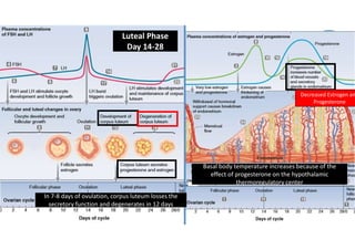 Physiology of Monthly Female Menstrual Cycle | PDF