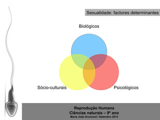 Sexualidade: factores determinantes
Biológicos

Sócio-culturais

Psicológicos

Reprodução Humana
Ciências naturais – 9º ano
Maria João Drumond / Setembro 2013

 