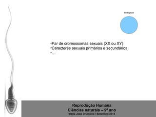 Biológicos

•Par de cromossomas sexuais (XX ou XY)
•Caracteres sexuais primários e secundários
•…

Reprodução Humana
Ciências naturais – 9º ano
Maria João Drumond / Setembro 2013

 
