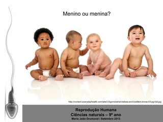 Menino ou menina?

http://content.everydayhealth.com/wte3.0/gcms/what-babies-and-toddlers-know-03-pg-full.jpg

Reprodução Humana
Ciências naturais – 9º ano
Maria João Drumond / Setembro 2013

 
