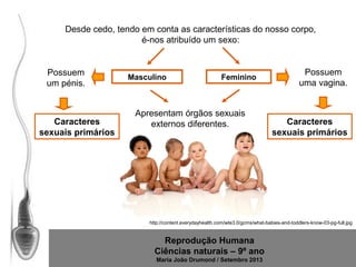 Desde cedo, tendo em conta as características do nosso corpo,
é-nos atribuído um sexo:

Possuem
um pénis.

Caracteres
sexuais primários

Masculino

Feminino

Apresentam órgãos sexuais
externos diferentes.

Possuem
uma vagina.

Caracteres
sexuais primários

http://content.everydayhealth.com/wte3.0/gcms/what-babies-and-toddlers-know-03-pg-full.jpg

Reprodução Humana
Ciências naturais – 9º ano
Maria João Drumond / Setembro 2013

 