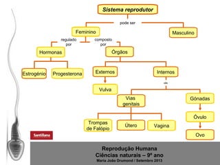 Sistema reprodutor
pode ser

Feminino
regulado
por

Masculino

composto
por

Órgãos

Hormonas

Estrogénio

Progesterona

Externos

Internos
são

Vulva
Vias
genitais

Gónadas

Óvulo
Trompas
de Falópio

Útero

Vagina
Ovo

Reprodução Humana
Ciências naturais – 9º ano
Maria João Drumond / Setembro 2013

 