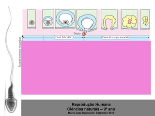 Reprodução Humana
Ciências naturais – 9º ano
Maria João Drumond / Setembro 2013

 