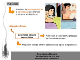 Puberdade
Conjunto de alterações físicas
e psicológicas que marcam
o início da adolescência.

Alterações físicas

Caracteres sexuais
secundários

Começam a surgir com a produção
de hormonas sexuais.

Preparam o corpo para os actos sexuais e para a reprodução.

Reprodução Humana
Ciências naturais – 9º ano
Maria João Drumond / Setembro 2013

 