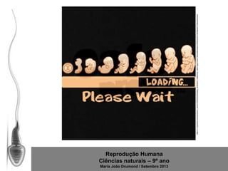 Reprodução Humana
Ciências naturais – 9º ano
Maria João Drumond / Setembro 2013

http://i1.cpcache.com/product_zoom/785048449/baby_evolution_maternity_tshirt.jpg?color=Black&height=460&width=460&padToSquare=true

 
