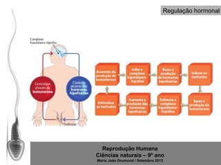 Regulação hormonal

Reprodução Humana
Ciências naturais – 9º ano
Maria João Drumond / Setembro 2013

 