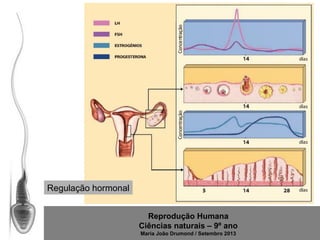 Regulação hormonal
Reprodução Humana
Ciências naturais – 9º ano
Maria João Drumond / Setembro 2013

 