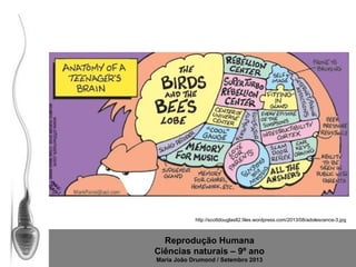 http://scottdouglas82.files.wordpress.com/2013/08/adolescence-3.jpg

Reprodução Humana
Ciências naturais – 9º ano
Maria João Drumond / Setembro 2013

 
