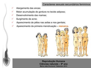 Caracteres sexuais secundários femininos


Alargamento das ancas;



Maior acumulação de gordura no tecido adiposo;



Desenvolvimento das mamas;



Surgimento da acne;



Aparecimento de pêlos nas axilas e nos genitais;



Aparecimento da primeira menstruação – menarca.

Reprodução Humana
Ciências naturais – 9º ano
Maria João Drumond / Setembro 2013

 