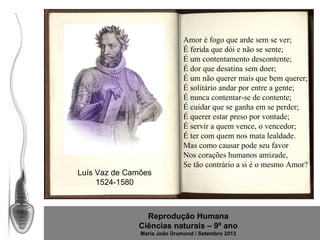 Luís Vaz de Camões
1524-1580

Amor é fogo que arde sem se ver;
É ferida que dói e não se sente;
É um contentamento descontente;
É dor que desatina sem doer;
É um não querer mais que bem querer;
É solitário andar por entre a gente;
É nunca contentar-se de contente;
É cuidar que se ganha em se perder;
É querer estar preso por vontade;
É servir a quem vence, o vencedor;
É ter com quem nos mata lealdade.
Mas como causar pode seu favor
Nos corações humanos amizade,
Se tão contrário a si é o mesmo Amor?

Reprodução Humana
Ciências naturais – 9º ano
Maria João Drumond / Setembro 2013

 