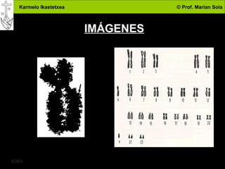 Karmelo Ikastetxea © Prof. Marian Sola
4DBH
11
IMÁGENES
 