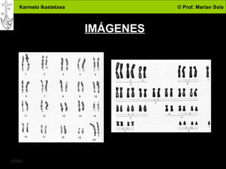Karmelo Ikastetxea © Prof. Marian Sola
4DBH
12
IMÁGENES
 