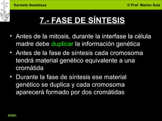 Karmelo Ikastetxea © Prof. Marian Sola
4DBH
20
7.- FASE DE SÍNTESIS
• Antes de la mitosis, durante la interfase la célula
madre debe duplicar la información genética
• Antes de la fase de síntesis cada cromosoma
tendrá material genético equivalente a una
cromátida
• Durante la fase de síntesis ese material
genético se duplica y cada cromosoma
aparecerá formado por dos cromátidas
 