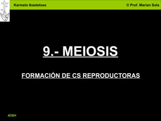 Karmelo Ikastetxea © Prof. Marian Sola
4DBH
23
9.- MEIOSIS
FORMACIÓN DE CS REPRODUCTORAS
 