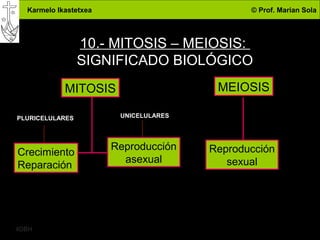 Karmelo Ikastetxea © Prof. Marian Sola
4DBH
30
10.- MITOSIS – MEIOSIS:
SIGNIFICADO BIOLÓGICO
MITOSIS MEIOSIS
Crecimiento
Reparación
Reproducción
asexual
Reproducción
sexual
PLURICELULARES UNICELULARES
 