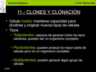 Karmelo Ikastetxea © Prof. Marian Sola
4DBH
36
11.- CLONES Y CLONACIÓN
• Célula madre: mantiene capacidad para
dividirse y originar nuevos tipos de células
• Tipos
– Totipotentes: capaces de generar todos los tipos
celulares, pueden dar un organismo completo
– Pluripotentes: pueden producir la mayor parte de
células pero no un organismo completo
– Multipotentes: pueden generar algún grupo de
células
 