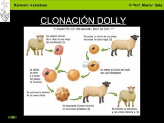 Karmelo Ikastetxea © Prof. Marian Sola
CLONACIÓN DOLLY
4DBH
38
 
