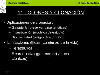 Karmelo Ikastetxea © Prof. Marian Sola
4DBH
39
11.- CLONES Y CLONACIÓN
• Aplicaciones de clonación:
– Ganadería (preservar características)
– Investigación (modelos de estudio)
– Biodiversidad (peligro de extinción)
• Limitaciones éticas (comienzo de la vida):
– Terapéutica
– Reproductiva (generar individuos
clónicos)
 