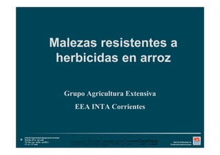 Malezas resistentes a
Malezas resistentes a
herbicidas en arroz
herbicidas en arroz
Grupo Agricultura Extensiva
Grupo Agricultura Extensiva
EEA INTA Corrientes
 