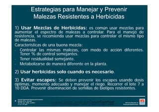 Estrategias para Manejar y Prevenir
Malezas Resistentes a Herbicidas
Malezas Resistentes a Herbicidas
4) Usar herbicidas p...