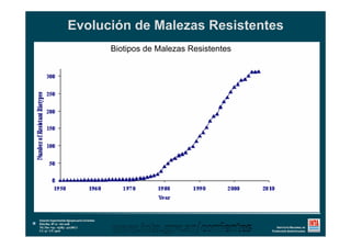 Evolución de Malezas Resistentes
Biotipos de Malezas Resistentes
 