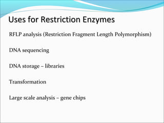 Uses for Restriction EnzymesUses for Restriction Enzymes
RFLP analysis (Restriction Fragment Length Polymorphism)
DNA sequencing
DNA storage – libraries
Transformation
Large scale analysis – gene chips
 