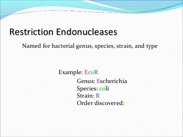 restriction enzyme recognition sites are palindromic restriction enzyme recognition sites are palindromic