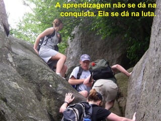 A aprendizagem não se dá na
 conquista. Ela se dá na luta.
 