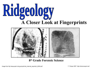 8 th  Grade Forensic Science Image from ftp://sequoyah.nist.gov/pub/nist_internal_reports/ir_6534.pdf T. Trimpe 2007  http://sciencespot.net/ Ridgeology A Closer Look at Fingerprints 