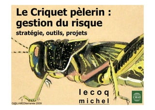 Le Criquet pèlerin :
   gestion du risque
   stratégie, outils, projets




                         lecoq
Q@LI-MEDiterranée 2009   michel
 