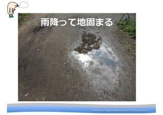 University	
 ?of	
 ?Shiga	
 ?prefecture.	
 ?School	
 ?of	
 ?Human	
 ?CultureUniversity	
 ?of	
 ?Shiga	
 ?prefecture.	
 ?School	
 ?of	
 ?Human	
 ?Culture
?꽵äƵع̤ޤ
 