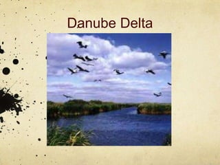 Danube Delta
 