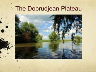 The Dobrudjean Plateau
 