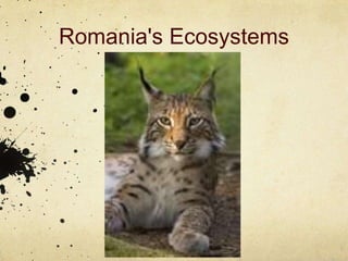 Romania's Ecosystems
 