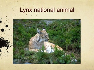 Lynx national animal
 