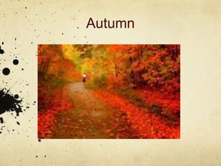Autumn
 