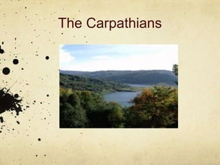 The Carpathians
 