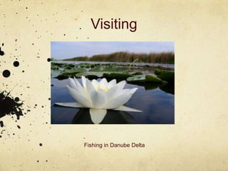Visiting




Fishing in Danube Delta
 