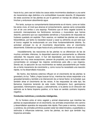 hacia la luz, pero casi en todos los casos estos movimientos obedecen a una serie
de mecanismos algo distintos a la contractilidad muscular descrita. El disparador
de estas acciones en las plantas es por lo general un manojo de células que se
hinchan y endurecen absorbiendo agua.

   Por tanto, aunque su comportamiento básicamente es el mismo, como en todos
los seres vivos, el nivel que alcanza el comportamiento, apenas sería comparable
con el de una amiba o una esponja. Pareciera que el reino vegetal durante la
evolución menospreciara los fenómenos nerviosos y musculares que hemos
descrito, pareciera que sus capacidades sensitivas y musculares de respuesta se
hubieran quedado sin explotar. Pero veamos, en realidad las plantas son verdes,
fotosintéticas, por tanto no necesitan buscar y cazar su alimento; es por esto que
el tronco vegetal ha evolucionado en una línea fundamentalmente distinta. Su
actividad principal no es el movimiento discerniente, sino el crecimiento
discerniente. Extiende sus hojas hacia el sol y profundiza sus raices en el suelo.

     Indudablemente, las reacciones de las plantas no se diferencian de las de
muchos animales inferiores; la disparidad esencial es precisamente su diferente
velocidad. No requiere cazar, ni huir del depredador, por tanto las reacciones
rápidas son muy raras excepciones, carecen de propósito, sus movimientos están
concentrados en conseguir las mejores condiciones para ella y sus órganos.
Siendo así, la ejecución de sus movimientos se realiza pausadamente por medio
de un lento mecanismo de crecimiento y, como nunca ha necesitado una reacción
rápida, no ha desarrollado músculos.

    De hecho, dos factores externos influyen en el crecimiento de las plantas: la
gravedad y la luz. Tallos y hojas buscan la luz, mientras las raíces responden a la
gravedad terrestre y también a la intervención de un tercer factor, la humedad, que
también atrae el crecimiento de las raíces. A las respuestas de este tipo, les
llamamos tropismos teniendo de este modo: fototropismo (luz), geotropismo
(gravedad), hidrotropismo (agua); y adicinalmente, si la planta va en dirección del
estímulo se le llama tropismo positivo, sí lo hace en sentido contrario tropismo
negativo.

Conductas instintivas y conductas inteligentes.

   En la frontera entre el reino vegetal y animal observamos que mientras las
plantas se especializaban en el crecimiento, los animales emprendían otro camino
y desarrollaban aparatos de respuesta más rápida. Pero pese a nervios, músculos
y cerebros, los animales primitivos pueden estar tan determinados y supeditados a
estímulos e influencias externas, como las plantas, es decir que también hay
tropismos animales.
 