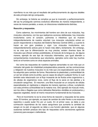 mamíferos no es más que el resultado del perfeccionamiento de algunos detalles
de este príncipio del ojo compuesto.

   Sin embargo, la historia se complica ya que la invensión y perfeccionamiento
del ojo ha proseguido caminos evolutivos diferentes de manera independiente, a
veces de manera paralela, a veces, en direcciones notablemente distintas.

Reacción y respuestas.

   Como sabemos, los movimientos del hombre son obra de sus músculos, hay
músculos voluntarios, con los que realizamos acciones deliberadas; hay músculos
involuntarios como el corazón, pulmones e intestinos que se mueven
independientemente de nuestra voluntad. Los músculos voluntarios entran en
acción respondiendo a impulsos del Sistema Nervioso Central (SNC), y cuando lo
hacen es con gran presteza y vigor. Los músculos involuntarios son
independientemente activos pero lo hacen más débil y lentamente. Sin embargo,
no se crea que la diferenciación es muy precisa, existen diversos tipos de
músculos que ofrecen ambas posibilidades, el músculo de la lengua es, de alguna
manera, ejemplo de ese tipo de músculos intermedios, que igual atienden a
comportamientos involuntarios que voluntarios, ejemplos como este hay muchos
tanto en el hombre como en otras especies animales.

    Así como las respuestas de nuestros órganos sensoriales no son más que un
indicador del grado de irritabilidad protoplasmática presente, así las contracciones
y relajación de nuestros músculos no es más que una especialización que la vida
ha adquirido para cambiar de forma. Recordemos la plasticidad y contractilidad de
un ser tan simple como la amiba, que es capaz de adquirir cualquier forma, lo cual
también esta relacionado con el flujo incesante de de fluidos entre organismos o,
de células de organismos vivos, como el flujo de la savia en las plantas y la
circulación sanguínea. En resumen, una fibra muscular es un conjunto de células
especializadas en rigidizarse o relajarse de manera vigorosa y eficaz, cumpliendo
con esta primitiva contractilidad de la materia viva. Otro ejemplo de músculo mixto,
son los cilios o flagelos que como delicados filamentos vibrátiles en protozoarios y
especies vegetales, tienen el mismo mecanismo fundamental de los músculos.

    Pero el movimiento no es la única forma de reacción y respuesta de los seres
vivos. El hombre, por ejemplo, es capaz de cambiar de color frente a una sorpresa
repentina o puede sudar frío por un susto. En el primer caso, se debe a una
contracción espontánea de los vasos sanguíneos que aumenta la cantidad de
sangre en la piel; el segundo se debe a una función glandular, que en algunas
ocasiones también produce otro tipo de respuestas como secreciones agresivas
(venenos) para escapar o defenderse.
 