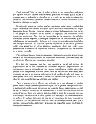 Es el caso del Tritón, al cual, sí se le mantiene en las manos fuera del agua
por algunos minutos, secreta una substancia grasosa y resbalosa que le ayuda a
escapar, pero sí se le retiene intensificando la presión, en los instantes siguientes
secretará una substancia venenosa capaz de afectar al sistema nervioso de quien
lo retiene e incluso su muerte.

   Otro ejemplo, aparte de reptiles, arañas, serpientes y alacranes, es el de los
sapos venenosos cuyo veneno era usado por las tribus sudamericanas para mojar
las puntas de sus flechas y hacerlas letales, o el caso de los caracoles que frente
a un peligro, se encierran en su concha y segregan una abundante baba
espumosa protectora. Otro tipo de respuestas es la secreción de señales
luminosas, propias de peces, luciérnagas y especies de las profundidades, que no
sólo los usan para protección y defensa, sino incluso como productores de señales
con códigos definidos. No obstante, que las respuestas de secreción glandular
están muy presentes en otras especies, podríamos decir que están poco
presentes en la variedad de respuestas humanas, cuya principal tipo de reacción
es la acción muscular.

    Para distinguir los dos tipos de respuestas hasta aquí expuestos, proponemos
llamar a los músculos productores de respuestas musculares como efectores, así
un efector es diferente a un mecanismo glandular.

    Otro tipo de respuesta que hay que considerar es el del cambio de
pigmentación de la piel, presente en diferentes especies, especialmente de
camaleones, ranas y peces planos y de manera más rápida y notable aún en los
pulpos y sus congéneres. En éste último caso, se trata de una mera respuesta
muscular ya que si se observa detenidamente el cambio de color del pulpo, se
verá que se debe a una expansión o contracción de manchas pigmentadas que se
alternan para lograr tonos muy coloridos o de palidez.

     Pero probablemente el efector más extraño es el que observa en ciertos
peces eléctricos que, pueden aplicar descargas –por lo general de baja intensidad-
a cualquier otro ente que se aproxime a su cercanía. Casos extremos son los del
Mujón, el Torpedo marmorata del meditarráneo o el del Gimnoto de los ríos de
sudamérica, que tiene una potente bateria a todo lo largo de su cuerpo con una
fuerza capaz de electrocutar a ranas y peces con descargas de varios centenares
de voltios. En realidad este caso se trata de un mecanismo de fibras musculares
modificadas que han perdido la capacidad de extenderse rigidamente, pero que a
cambio, han aprendido a potenciar y proyectar las pequeñas cargas eléctricas de
los impulsos nerviosos.
 